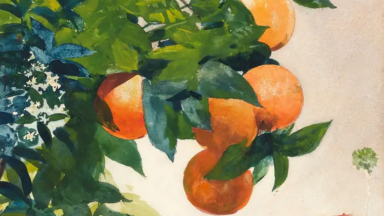 Winslow Homer Oranges on a branch 1885